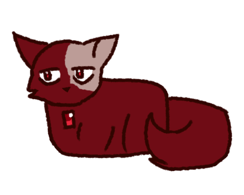 Jaspers as a cat